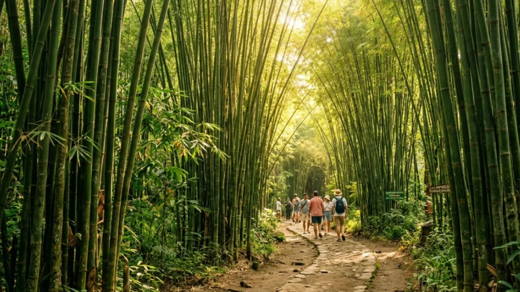 Pemandangan rimbun Hutan Bambu Keputih sebagai wisata Surabaya seperti Jepang yang estetik.