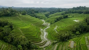 Itinerary Bali 3 Hari 2 Malam: Rute Efisien dan Estimasi Biaya Realistis
